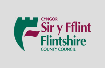 flintshire county council complaint number