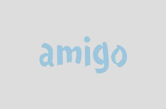 amigo loans complaints number